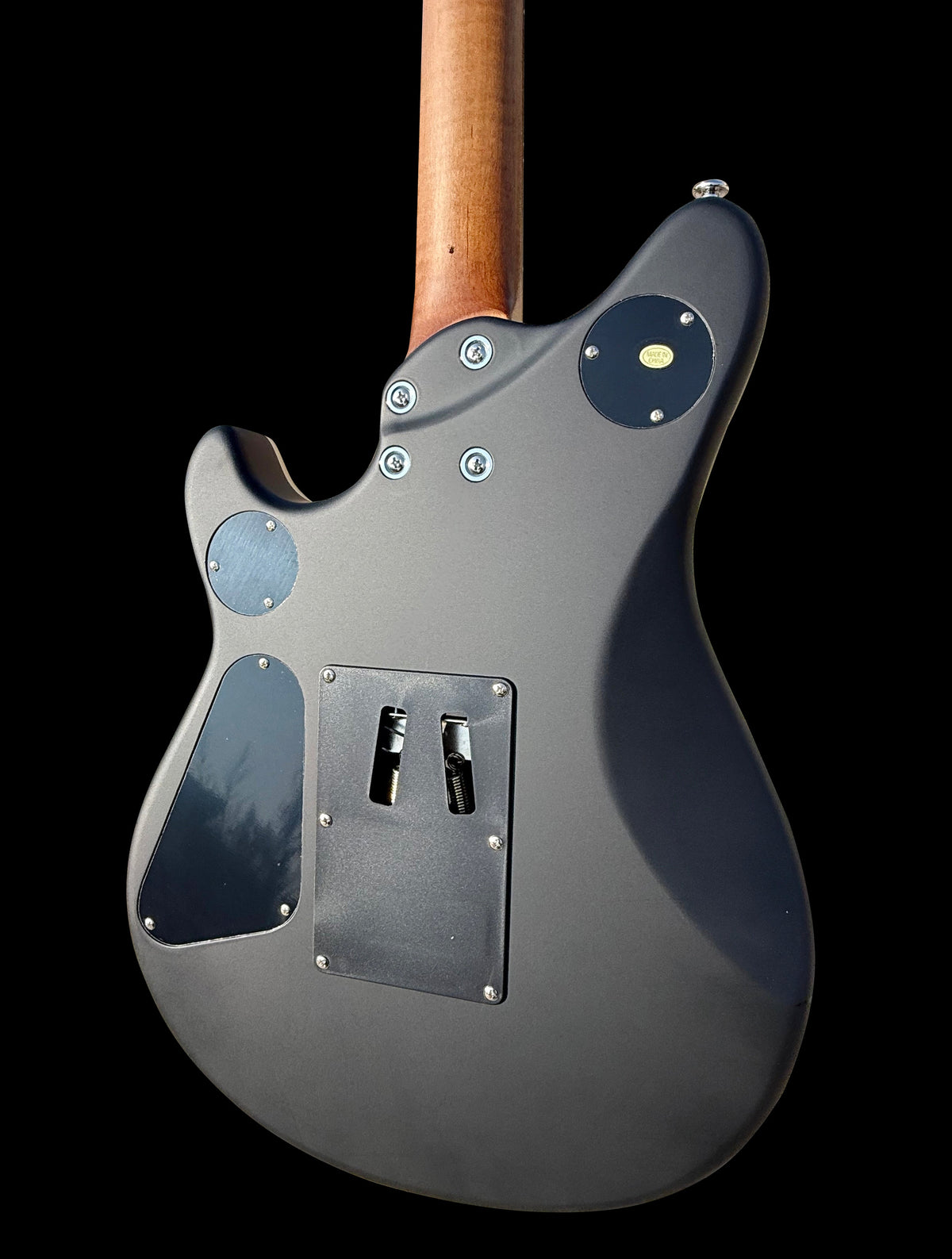 Firefly FFMN Electric Guitar With Flamed Maple Top Floyd Rose Tremolo (Matte Black Color)
