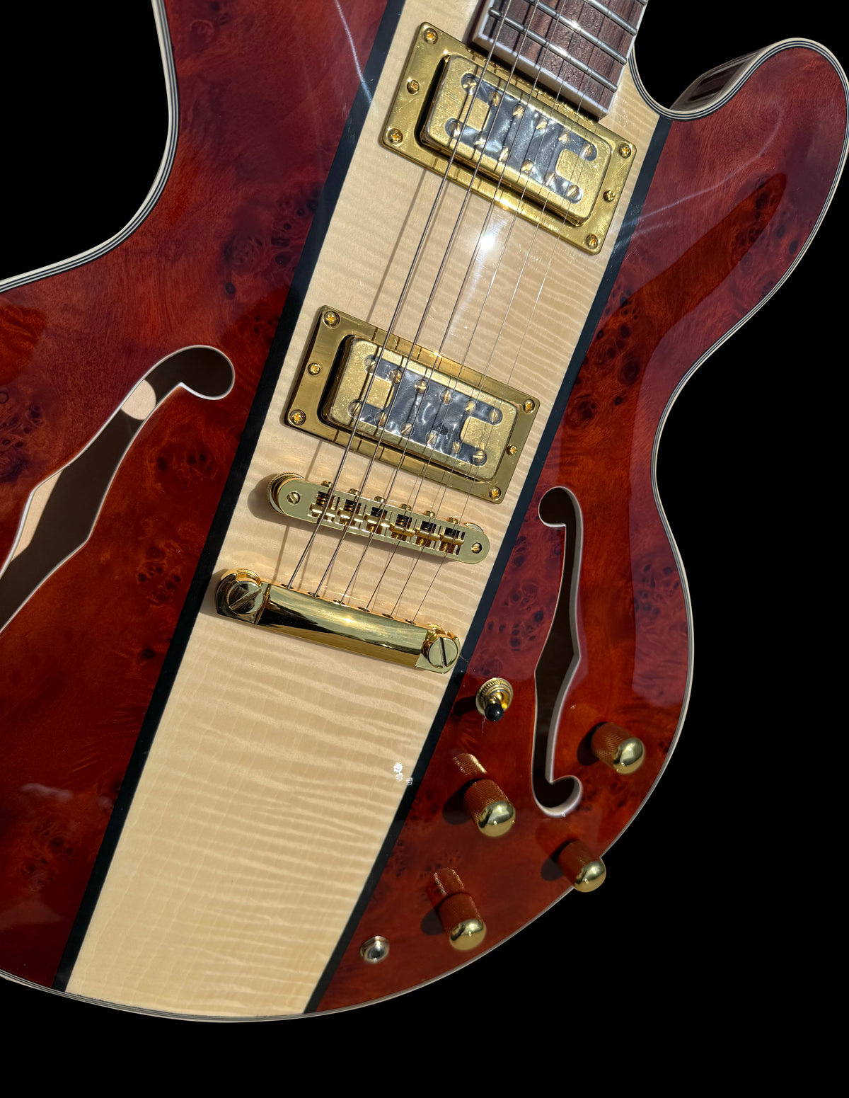 Firefly FF338PRO Full Size Semi Hollow body Electric Guitar （Red Burl Color)