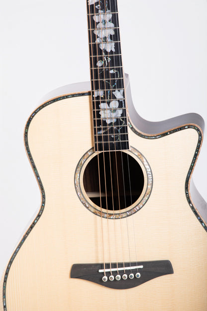New Firefly  GF41-F Acoustic Guitar
