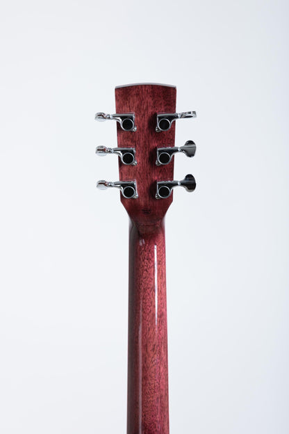 New Firefly PA40-D Acoustic Guitar With Pickups