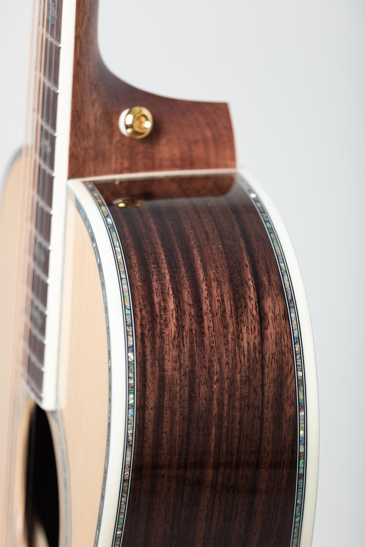 New Firefly G045-E Acoustic Guitar With Fishman Presys  EQ